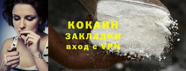 спиды Богородицк