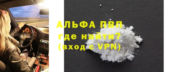 спиды Богородицк