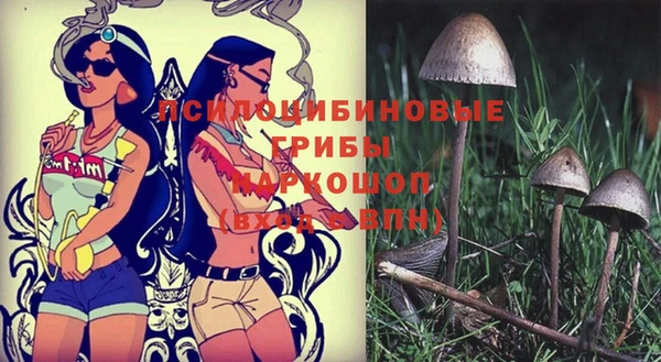 мет Богданович