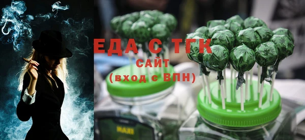 спиды Богородицк