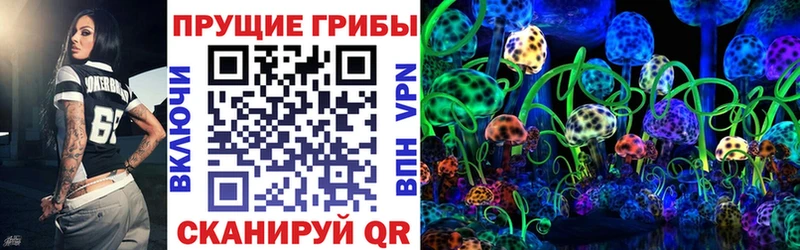Псилоцибиновые грибы прущие грибы  Дмитровск 